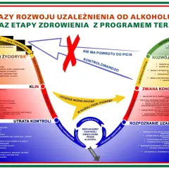 Schemat faz rozwoju uzależnienia od alkoholu i etapów zdrowienia. Terapia alkoholowa online jest kluczowa w procesie zdrowienia.