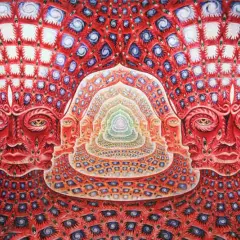 Psychodeliki: Jak zmienią terapię, świadomość i naszą planetę?
