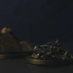 Kawałek kory i garść liści, być może składniki do rytuału z changa dmt.