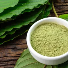 Zielony proszek kratomu w miseczce, otoczony liśćmi. Czy kratom w Polsce zyska na popularności?