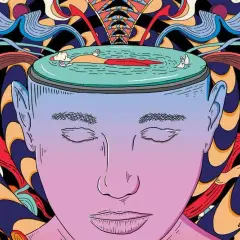 Terapia psychodeliczna w Polsce: Co legalne, a co nie?