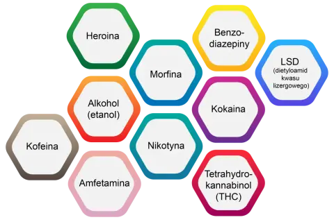 Wykres przedstawia najbardziej uzależniające substancje: heroinę, alkohol, nikotynę, amfetaminę, kofeinę, morfinę, benzodiazepiny, kokainę, LSD i THC.