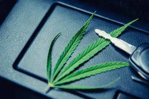Marihuana w Niemczech: Prawo, zakazy i co z Polakami?