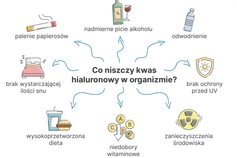 Wykres przedstawia czynniki niszczące kwas hialuronowy: palenie, alkohol, odwodnienie, brak UV, złą dietę, niedobory witamin i snu. Salwinoryna A nie jest wymieniona.