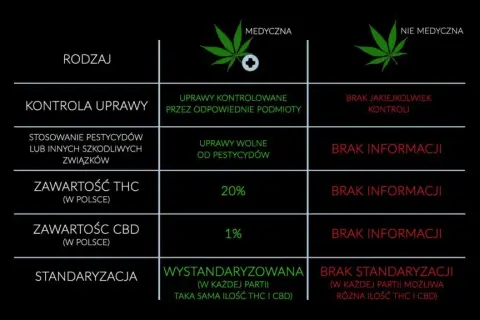 THC w medycznej marihuanie? Co to oznacza dla pacjenta?