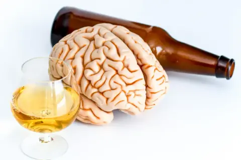 Model mózgu obok kieliszka z bursztynowym płynem i butelki symbolizuje wpływ alkoholu na mózg.