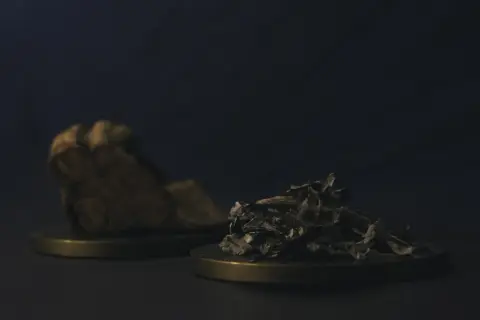 Kawałek kory i garść liści, być może składniki do rytuału z changa dmt.