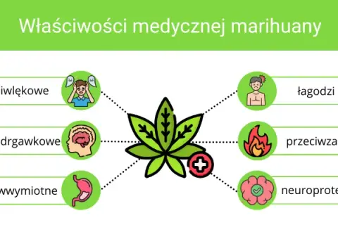 THC: Jak działa, co czujesz i czy medyczna marihuana jest dla Ciebie?