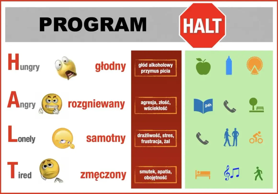 Program HALT: głód alkoholowy, agresja, samotność, zmęczenie to sygnały nawrotu choroby alkoholowej.