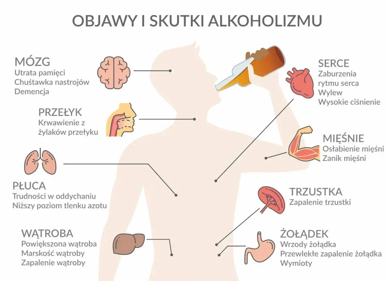 Ilustracja pokazuje 10 strat z picia alkoholu: uszkodzenia mózgu, przełyku, płuc, wątroby, serca, mięśni, trzustki i żołądka.