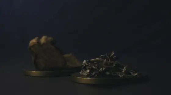 Changa - DMT z MAOI: Nie jest bezpieczniejsza. Poznaj ryzyka!