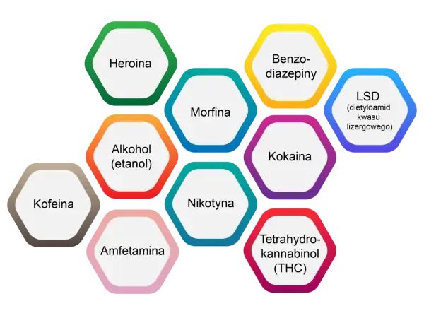 Wykres przedstawia najbardziej uzależniające substancje: heroinę, alkohol, nikotynę, amfetaminę, kofeinę, morfinę, benzodiazepiny, kokainę, LSD i THC.