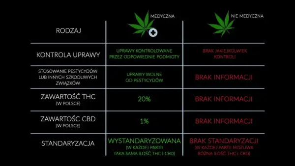 THC w medycznej marihuanie? Co to oznacza dla pacjenta?