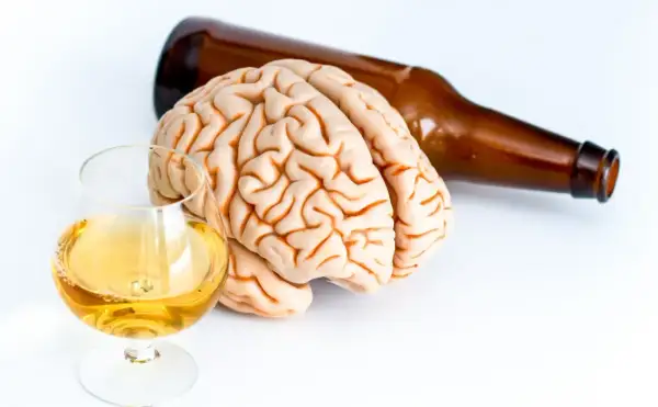 Model mózgu obok kieliszka z bursztynowym płynem i butelki symbolizuje wpływ alkoholu na mózg.