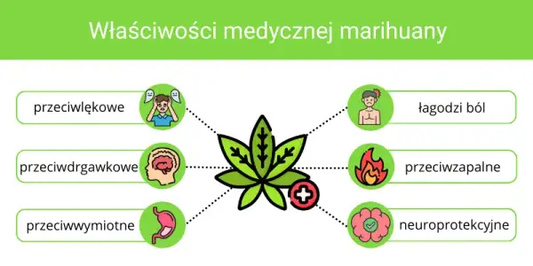 THC: Jak działa, co czujesz i czy medyczna marihuana jest dla Ciebie?